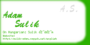 adam sulik business card